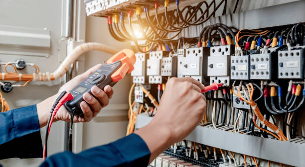 Best Ceiling Fan Installation Electrician  in Hoschton, GA